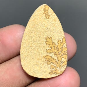 以下が含まれることがあります： ベージュ色の砂岩で作られた涙型のカボションで、表面にはシダのような自然な濃い茶色の樹枝状の模様があります。石はマットでざらざらとした質感で、上部が尖っており、底面は丸みを帯びた形状をしています。