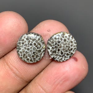 May include: Two round, polished gemstones with a unique honeycomb-like pattern in shades of gray and white. The gemstones are held in a hand, showcasing their intricate texture and natural beauty. The stones have a diameter of approximately 0.75 inches.