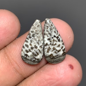 May include: Two teardrop-shaped gemstones with a unique pattern. The stones feature a mix of white, gray, and brown colors, with a textured appearance. The gemstones are displayed against a dark background.