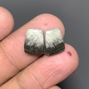 May include: Two rectangular gemstones with a curved top edge. The stones have a gradient of colors, transitioning from white at the top to dark brown at the bottom. The stones are held between fingers against a dark gray background.