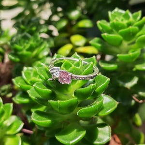 Puede incluir: Un anillo de plata con una gema rosa cuadrada y peque&ntilde;as piedras transparentes. El anillo presenta un peque&ntilde;o dise&ntilde;o de conejito en un lado. El anillo est&aacute; sobre un fondo de plantas suculentas verdes.