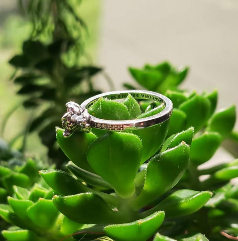Puede incluir: Un anillo plateado con un dise&ntilde;o floral, sobre hojas verdes de suculentas. El anillo presenta una pieza central detallada en forma de flor y una banda con peque&ntilde;os acentos brillantes. Es una joya.