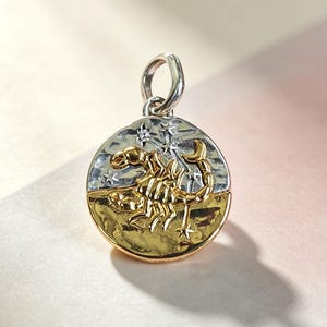 Könnte beinhalten: Ein runder Anhänger mit einem goldenen Skorpion-Relief auf einem geteilten Hintergrund. Die obere Hälfte ist silberfarben mit eingravierten Sternen, während die untere Hälfte goldfarben ist. Ein kleiner klarer Stein ist in einen Stern eingesetzt.