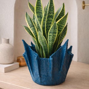 Peut inclure: Une plante serpent, aux feuilles vertes et jaunes rayées, dans un pot décoratif bleu foncé texturé. Le pot présente un design plié unique. La plante est posée sur une surface en bois clair, pour la décoration intérieure.