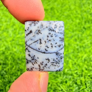 May include: A rectangular dendritic opal gemstone featuring a smooth, polished surface with a milky white base color and intricate, dark black fern-like inclusions that spread across the stone in a branching, organic pattern.
