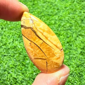 Puede incluir: Una piedra preciosa en forma de lágrima con una base de color amarillo y bronceado cálido, que presenta inclusiones oscuras en forma de vetas marrones que recorren la superficie lisa y pulida en un patrón irregular y ramificado.