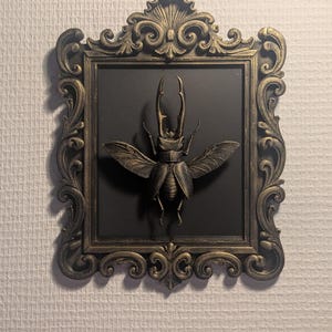 Op de afbeelding: Een ingelijst kunstwerk met een gedetailleerde, metallic gekleurde hertkeversculptuur. De kever is gemonteerd op een zwarte achtergrond in een sierlijke, goudkleurige lijst. De lijst heeft een vintage, barokke stijl.