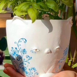 May include: A white ceramic planter with a whimsical face design, featuring blue floral patterns. The planter is filled with vibrant green basil. The planter is held in a hand.