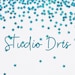 StudioDris