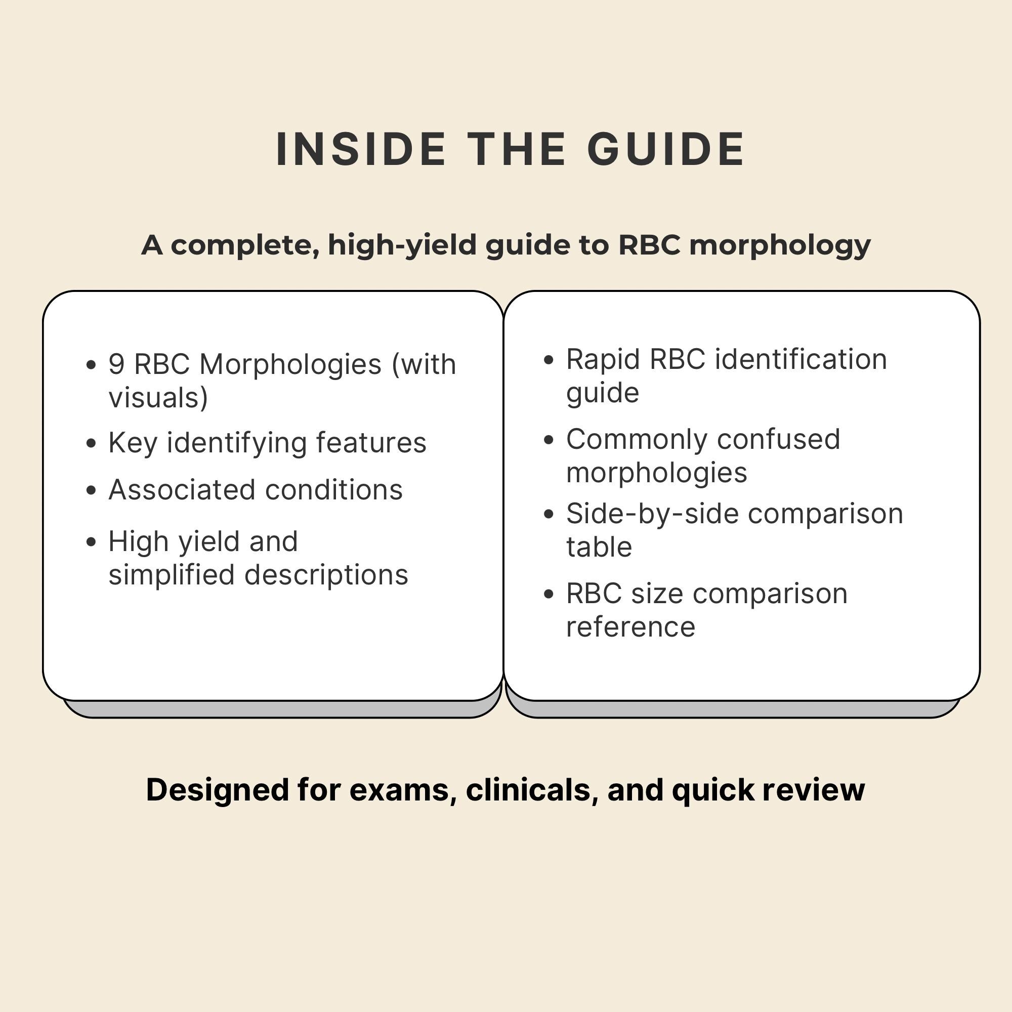 RBC Morphology Guide for MLS Students | Hematology Cheat Sheet (digital ...