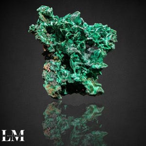 Velvet Malachite (L&#39;Etoile du Congo Mine, Kalukuluku Mine, Lumbumbashi, Haut-Katanga, DR Congo) - 525_MC1