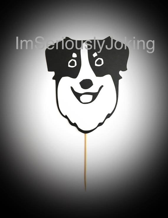 australian shepherd cupcake