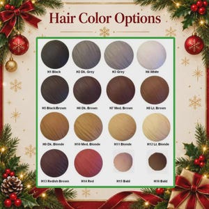 May include: A color chart titled Hair Color Options displaying sixteen circular swatches labeled H1 through H16. The colors range from black, grays, and whites to various shades of brown, blonde, red, and two bald skin tone circles.