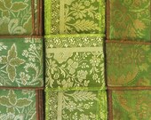 Vintage Sari borders, Green Trim SR926