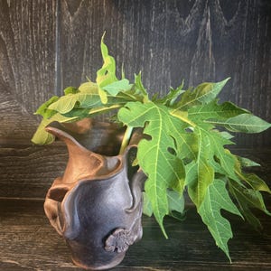 May include: A dark brown ceramic vase with a unique, textured design, holding vibrant green leaves. The vase has a sculpted appearance with a floral accent. The leaves are a bright green color, creating a striking contrast against the dark vase.