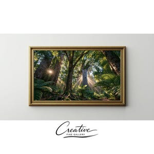 Ancient Kauri Forest Sunbeams Samsung Frame TV Art (Digital Download) 18