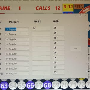 May include: A computer screen displaying a bingo game interface. The interface shows game settings, including the game number, calls, and a bingo card. The screen also displays the numbers called and the game's progress.