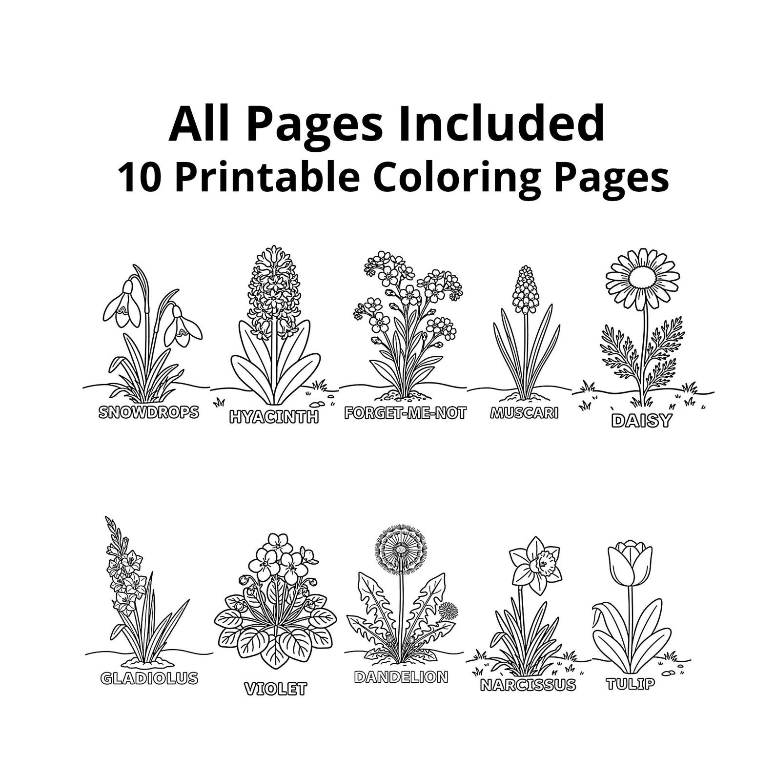 Spring Flower Color Worksheet Spring Flowers Coloring Pages Classroom Activity Printable Worksheets ...