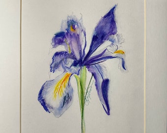 Blue Iris Watercolor Original