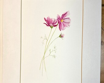 Cosmos, Original Watercolor