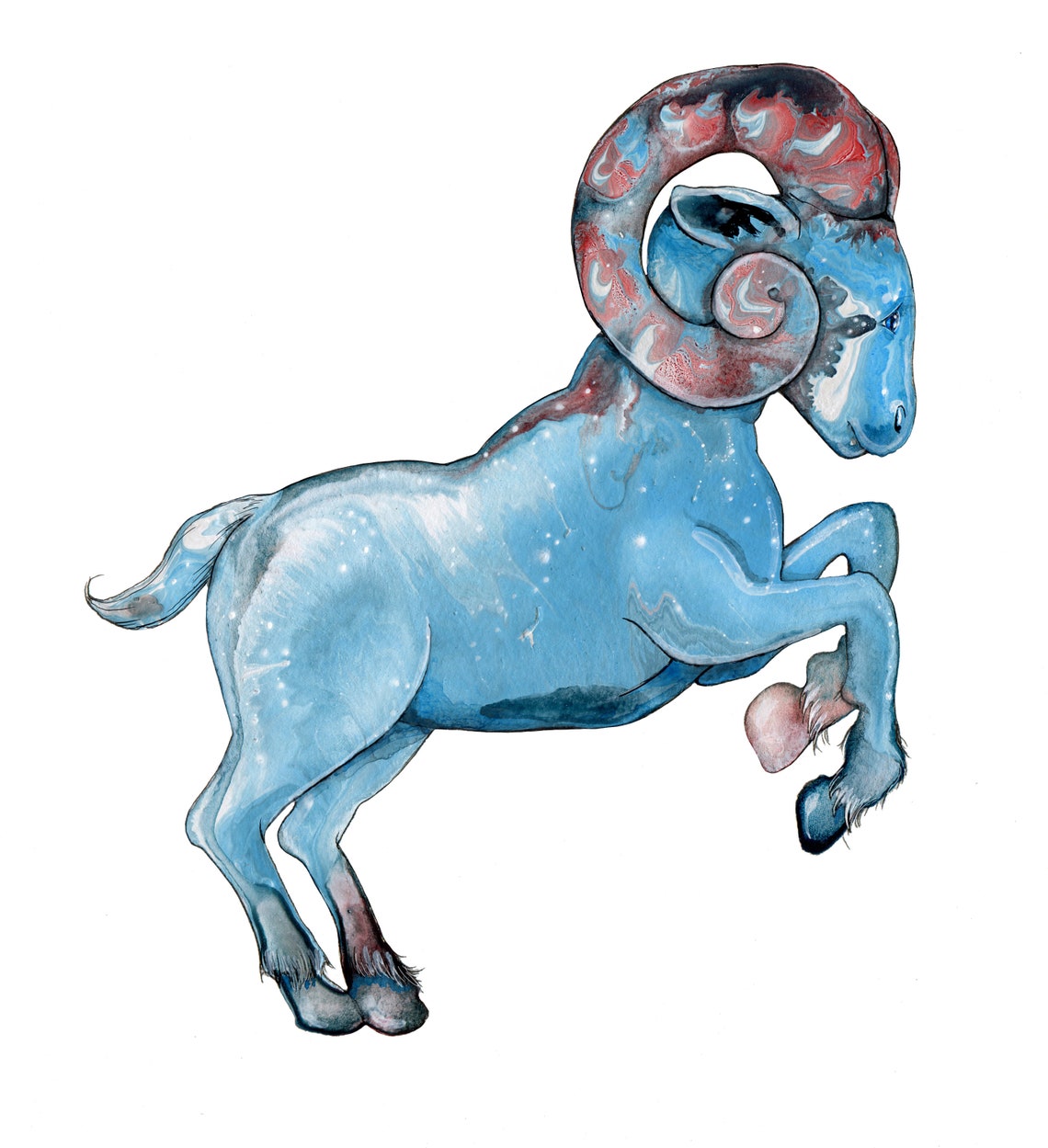 widder sternzeichen bild