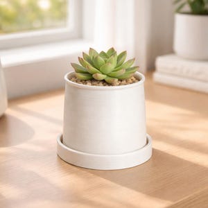 May include: A small, white ceramic planter with a succulent plant. The succulent has green leaves with reddish tips and sits atop small pebbles. The planter is on a matching saucer, and the scene is lit by natural light.