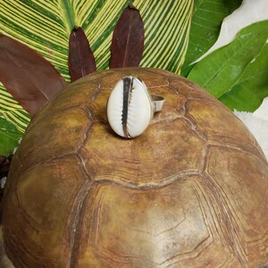 Peut inclure: Bague en argent ornée d'un coquillage cauri blanc et marron. La coquille est de forme ovale avec une bande marron foncé au centre. La bague est posée sur une surface texturée marron, avec des feuilles vertes et marron en arrière-plan.