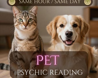 Same Hour Pet Psychic Reading, Animal Medium Insight, Pet Tarot Guidance, Spiritual Clarity