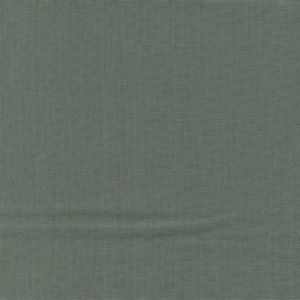 May include: A close-up of a textured, solid-colored fabric in a muted, dusty green hue. The fabric has a subtle woven pattern, with slight variations in tone, creating a soft, natural appearance. The fabric is slightly creased.