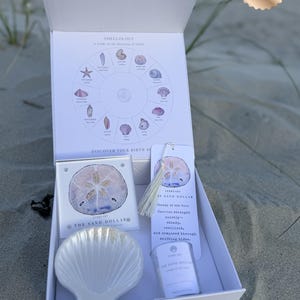 May include: A white gift box containing a seashell-themed set. Inside are a ceramic sand dollar, a seashell-shaped dish, a bookmark, and a small tube. The box also includes a card with a shell chart and the text "SHELLOLOGY". A "BEST SELLER" sticker is visible.