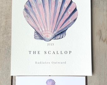 May include: A white card featuring a watercolor illustration of a pink and blue scallop shell with the text JULY THE SCALLOP Radiates Outward. Below is a smaller card with the same text and a description of the shell, plus a real seashell.