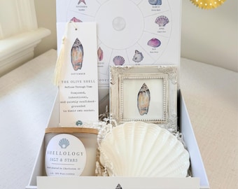 May include: A gift box set titled A GIFT CHOOSEN BY BIRTH MONTH featuring a Shellology chart, a bookmark with an olive shell illustration, a small framed olive shell print, a Salt & Stars soy wax candle, and a white ceramic scallop shell dish.