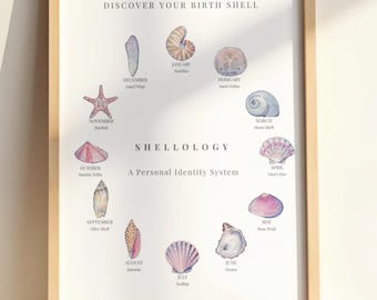 May include: A framed print titled DISCOVER YOUR BIRTH SHELL and SHELLOLOGY A Personal Identity System. The poster features twelve watercolor illustrations of seashells arranged in a circle, each labeled with a month and a specific shell name.