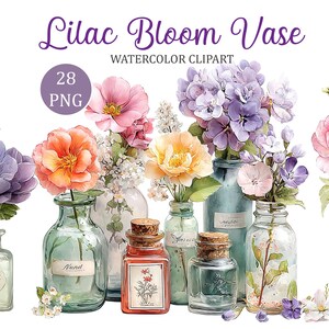 Pode incluir: Clipart em aquarela "Lilac Bloom Vase" com várias flores coloridas em vasos e potes de vidro. As flores são laranja, rosa, roxo e amarelo. Os vasos e potes têm rolhas de cortiça. Inclui o texto "28 PNG".