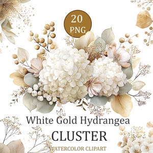 May include: Watercolor clipart featuring a cluster of white and gold hydrangeas, with accents of beige and sage green leaves. The image includes the text "White Gold Hydrangea Cluster Watercolor Clipart" and a gold circle with the text "20 PNG".