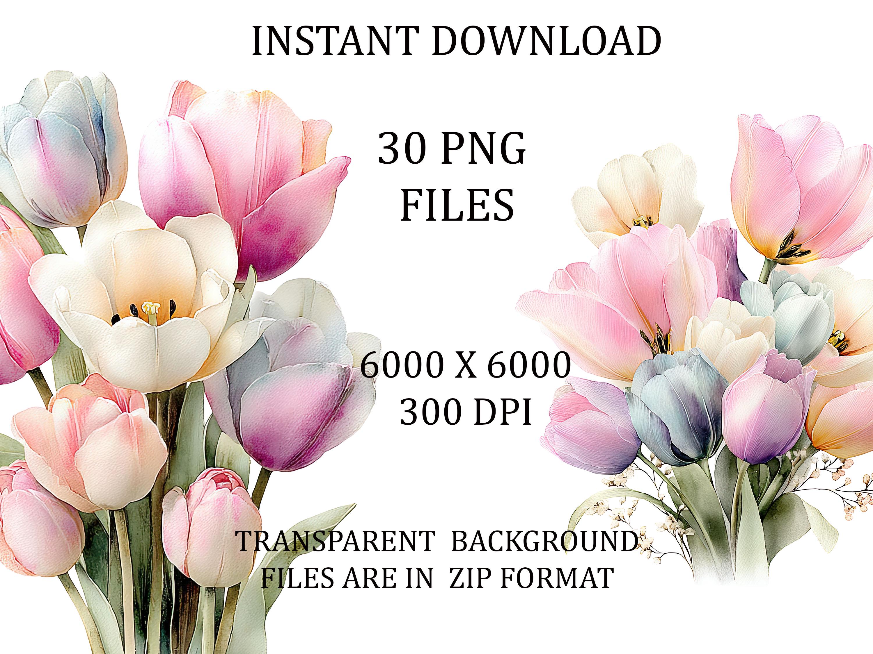 Pastel Tulip Bouquet Clipart, Watercolor Spring Floral PNG Elements (30 ...
