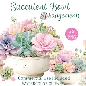May include: Watercolor illustration of succulent bowl arrangements. The image features several white bowls filled with a variety of colorful succulents in shades of green, pink, and purple. Text includes "Succulent Bowl Arrangements", "25 PNG", and "Commercial Use Included WATERCOLOR CLIPART".