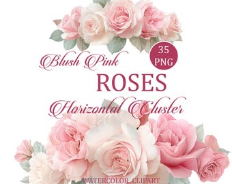 Conjunto de 35 imagens PNG de rosas cor-de-rosa em aquarela