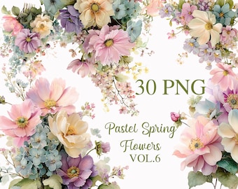 May include: A digital illustration of pastel-colored flowers, including pink, purple, and yellow blooms, arranged against a white background. The text "30 PNG" and "Pastel Spring Flowers VOL.6" are also present.