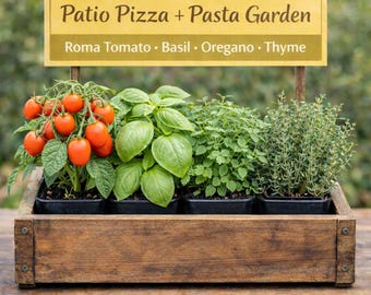 Pizza + Pasta Garden | Tomato, Bell Pepper, Basil, Oregano Plants for Fresh Sauce | Beginner Friendly