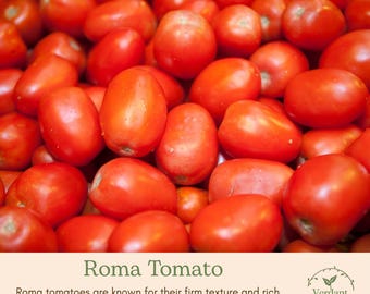 Roma Heirloom Tomato Plant  | Live in 4" Nursery Pot | Ready to Grow!