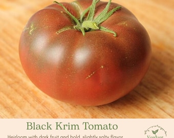 Black Krim Heirloom Tomato Plant | Live in 4" Nursery Pot | Ready to Plant!