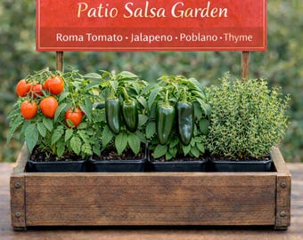 Salsa Garden | Tomato, Tomatillo, Jalapeño, Poblano, Cilantro Plants | Beginner Friendly