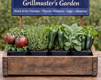 Grillmaster Garden | Gift for Dad | Tomatoes, Peppers, Herbs for Grilling | Beginner Friendly