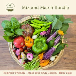 May include: A woven basket overflowing with fresh vegetables and herbs. The arrangement includes red tomatoes, green bell peppers, purple eggplants, and green chili peppers. The text reads "Mix and Match Bundle" and "Beginner Friendly • Build Your Own Garden • High Yield."