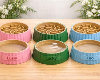 Personalized Elevated Dog Bowl Set – Slow Feeder Maze, Anti-Slip Pet Station