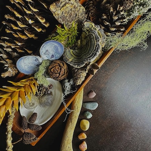 Puede incluir: Una colección de elementos naturales dispuestos sobre una bandeja de madera. La composición incluye piñas, conchas, musgo y piedras de colores. La paleta de colores está dominada por tonos tierra, con toques de azul y verde.