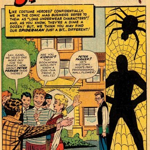 May include: Comic book panel featuring Spider-Man, a silhouetted figure, and a large spider on a web. Text bubbles show dialogue between characters, with the title "SPIDER-MAN!" in large red letters at the top.