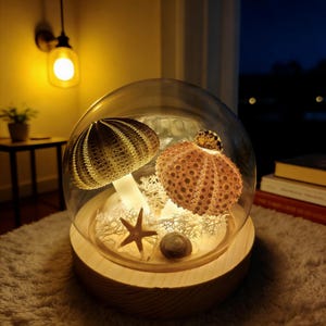 Handgjord nattlampa med sjöborremaneter, stämningslampa med havsmotiv, dekor av naturlig snäcka