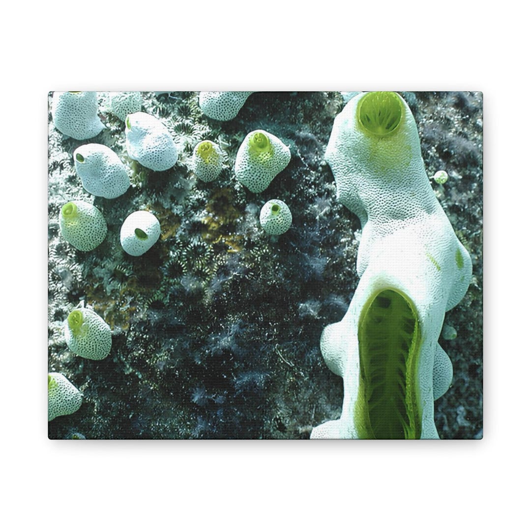Sea Sponge Microscope Microscopic Sea Sponge Close-up Canvas - Etsy